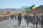 parade with flags