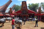 funerale Toraja