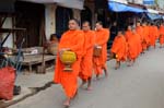 orange monks