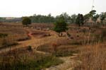 Plain of Jars