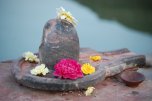 lingam